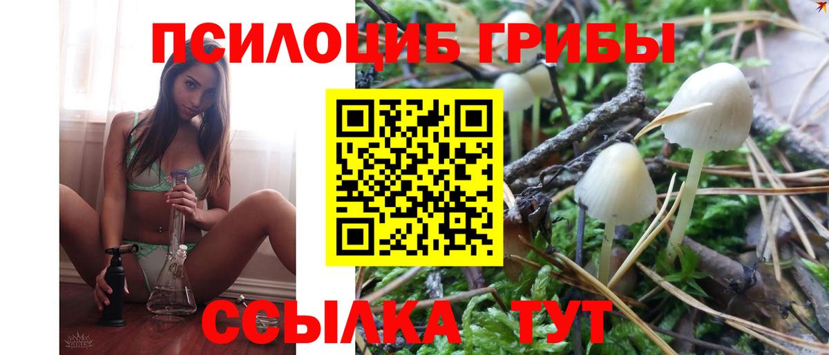 купить   Вход с VPN  Кубинка  Псилоцибиновые грибы Magic Shrooms 